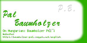 pal baumholzer business card